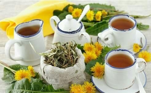 浦公英根可以泡茶喝吗图5