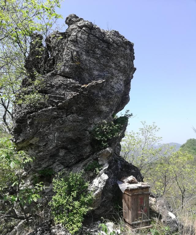 蜂蜜面膜怎么样(蜂蜜面膜效果怎么样)图5