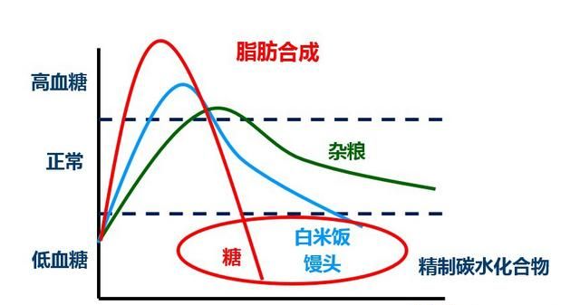 吃燕麦能减肥吗(吃桂格燕麦可以减肥吗)图4