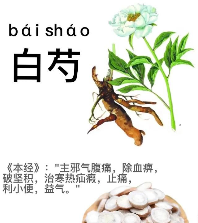 八种“白芍”的中药组合用法