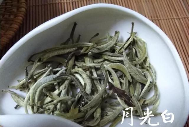 白毫银针是种什么茶(小罐白毫银针茶价格)图2