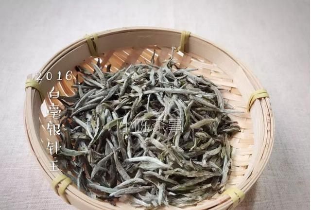 白毫银针是种什么茶(小罐白毫银针茶价格)图7