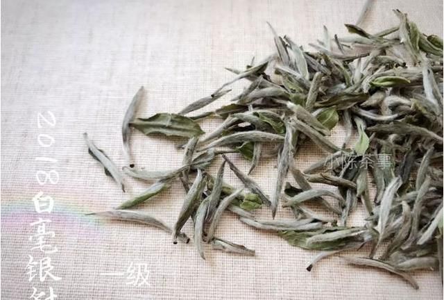 白毫银针是种什么茶(小罐白毫银针茶价格)图8