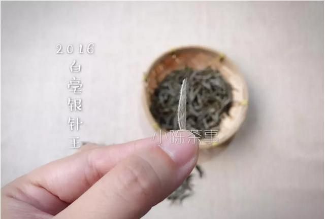 白毫银针是种什么茶(小罐白毫银针茶价格)图9