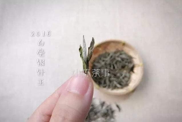 白毫银针是种什么茶(小罐白毫银针茶价格)图10