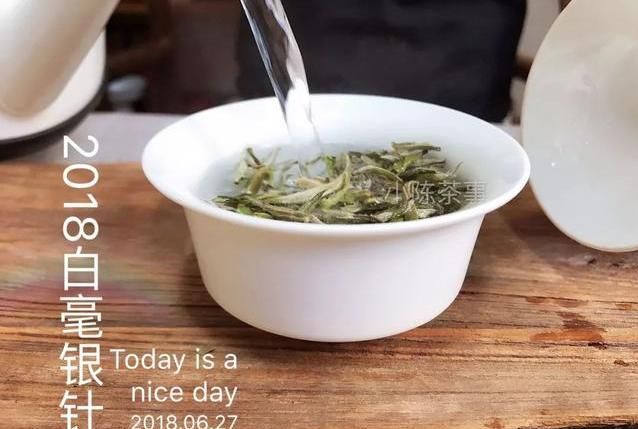 白毫银针是种什么茶(小罐白毫银针茶价格)图11
