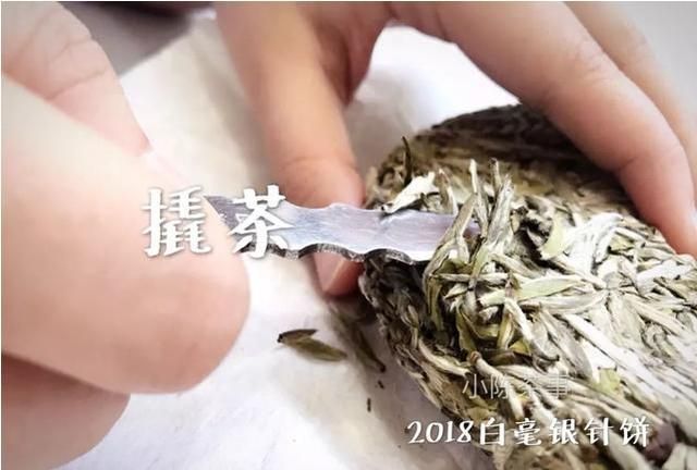 白毫银针是种什么茶(小罐白毫银针茶价格)图12