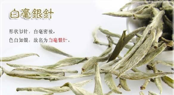 白毫银针是种什么茶(小罐白毫银针茶价格)图13