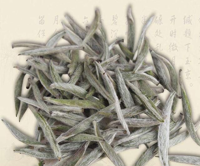 白毫银针是种什么茶(小罐白毫银针茶价格)图14