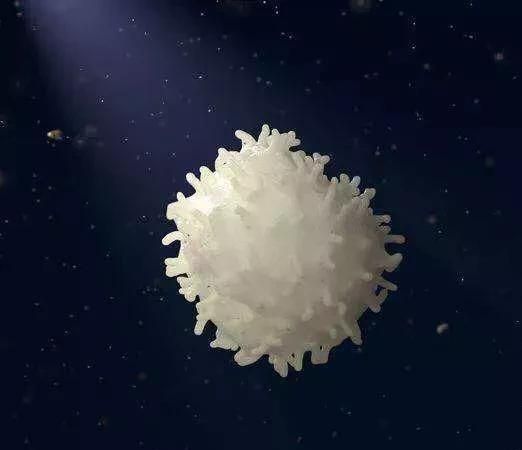 白血病化疗后白细胞低吃什么补得快图1