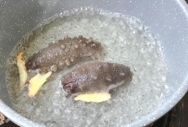 暖胃滋养的海参小米粥，一招儿去腥，早餐喝一碗，一天都元气满满