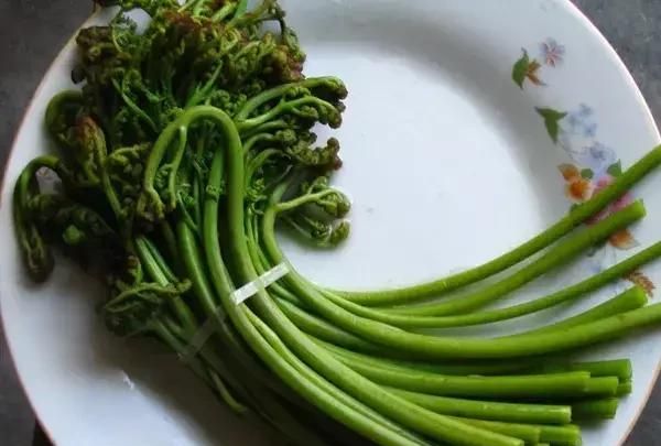 野芹菜与芹菜的区别,可吃的野芹菜有哪些图6