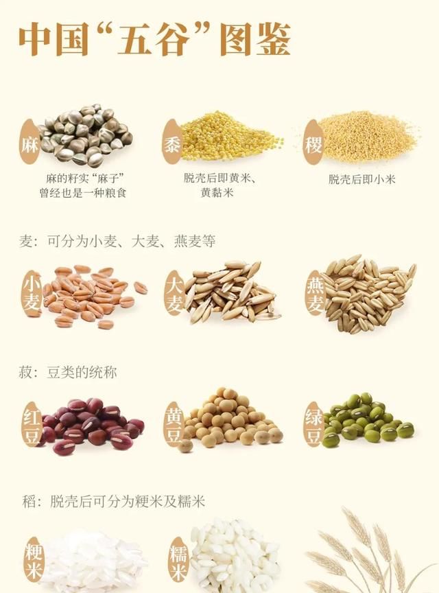 中国的五谷，到底从哪里来？