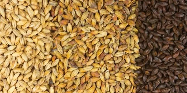 哺乳妈妈吃这几食物回奶？骗人！这些才是回奶物，这些东西要忌口