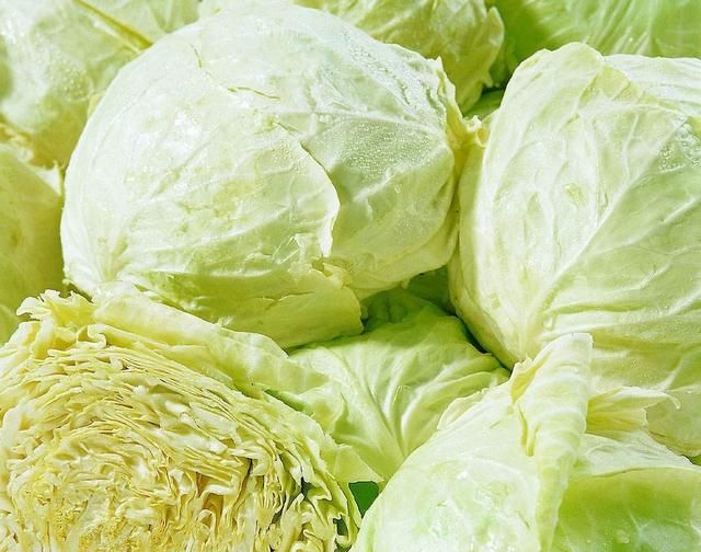 卷心菜可以做出哪些美味菜肴,卷心菜有哪些做法大全图14