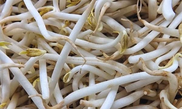 糖尿病能吃哪些豆制品？吃多少合适？这7种美味又控糖！