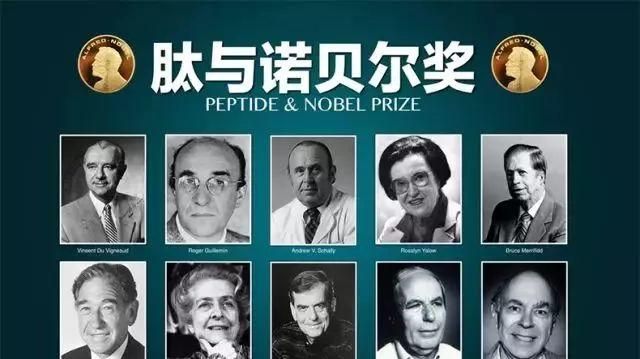 肽与诺贝尔奖-权威认证肽的具体作用