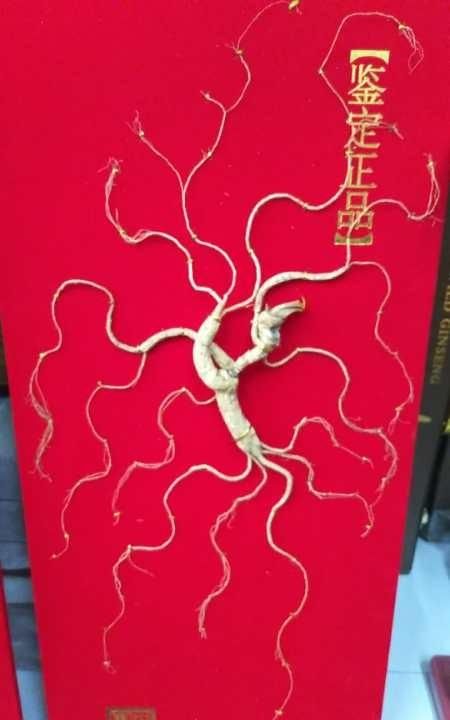 长白山林下参怎么吃效果最好图5
