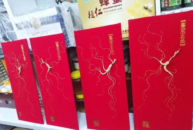 长白山林下参怎么吃效果最好图7