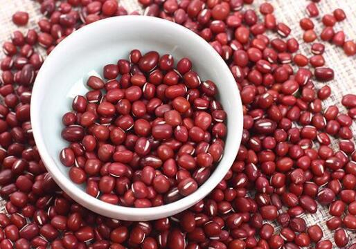 红豆是生活中非常熟悉一种食材、具有健胃生津、祛湿益气的作用