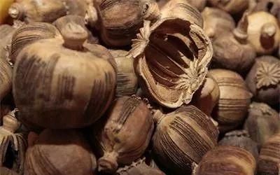 吃火锅超上瘾，是因为底料里加了罂粟壳吗？