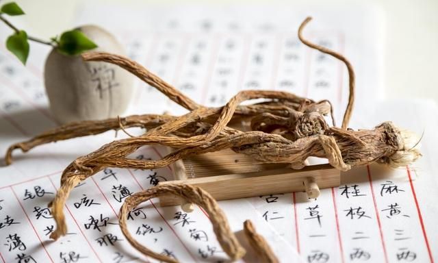 四肢麻木，肢体屈伸不利？送你一味天麻，息内风，祛外风