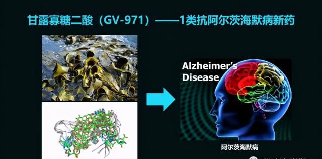 这只活了507岁的蛤，体内竟然藏着抗肿瘤的活性蛋白