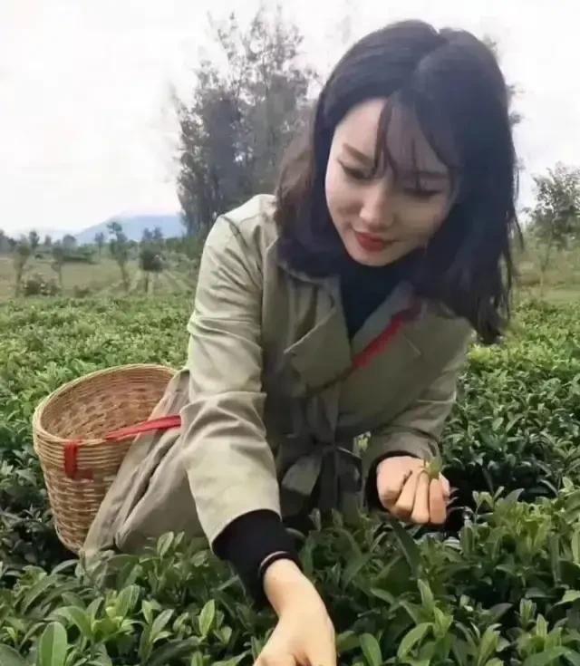 你觉得哪种糯米茶最好喝呢(哪里的糯米茶好用又好喝)图3
