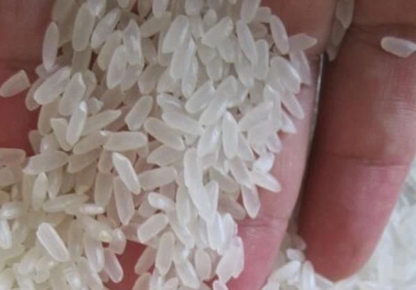 什么样的大米才算是正经大米呢(什么样的大米才算好大米)图2