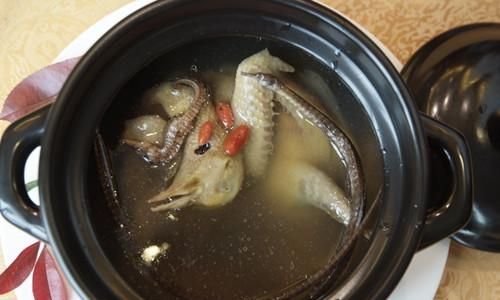 海马的功效与作用及食用方法