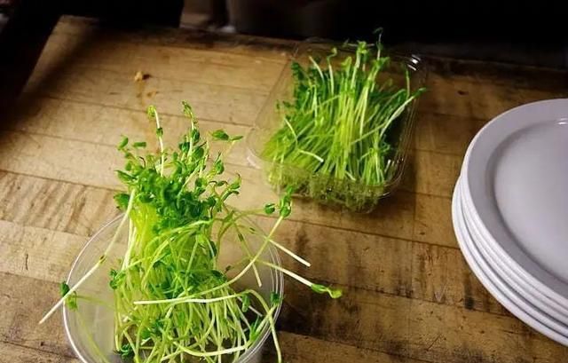 黄豆芽、绿豆芽、黑豆芽差别原来这么大！要想补对营养，该这么选