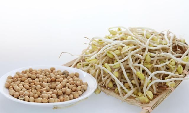 黄豆芽、绿豆芽、黑豆芽差别原来这么大！要想补对营养，该这么选