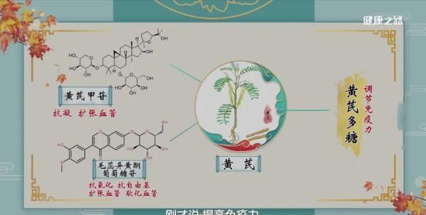 黄芪、朱砂、当归，专家说这些药材的用法要讲究