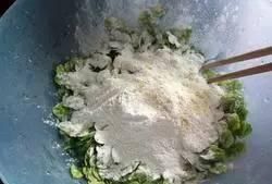 又到了撸榆钱的时候了!最全的榆钱做法，你还只是生吃吗？