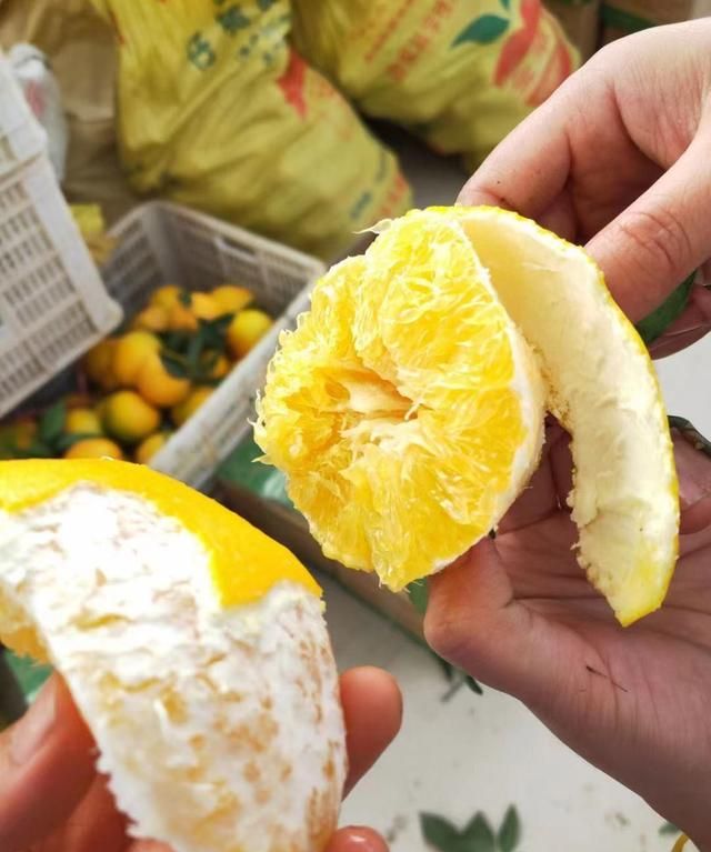吃赣南脐橙会上火吗？