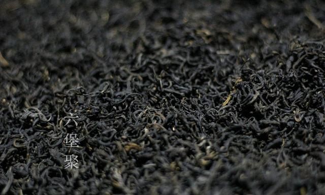 六堡茶怎么泡好喝(六堡茶哪种品牌好喝)图2
