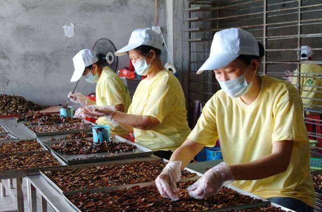 槟榔是什么东西，它到底有什么作用？为什么年轻人都喜欢嚼槟榔？