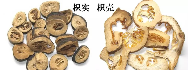 31味理气中药的性味与功效