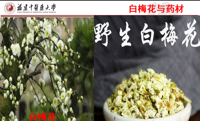 31味理气中药的性味与功效
