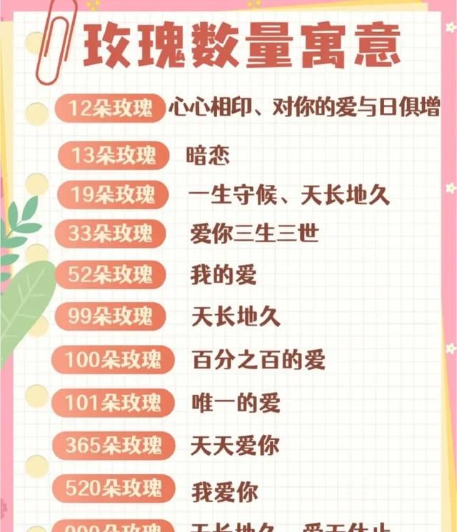 玫瑰花有几种图5