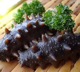 海参的功效和作用及海参的9大食用方法