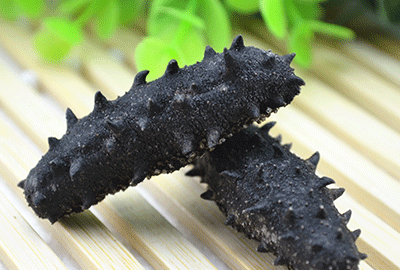 海参的功效和作用及海参的9大食用方法