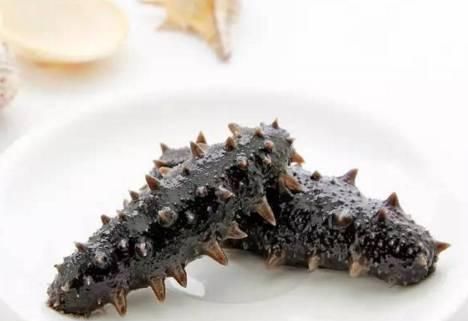 海参的功效和作用及海参的9大食用方法