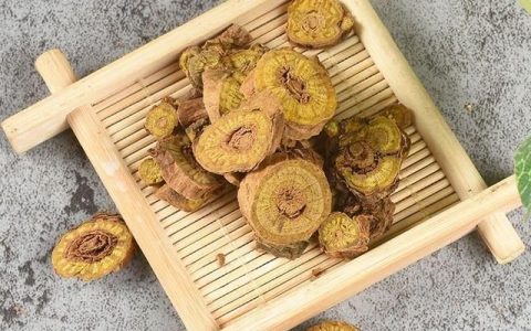 黄连黄芩黄柏汤的功效与作用及禁忌症