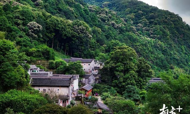下一站，梅州！坐高铁来梅州，你不能错过这些美食美景