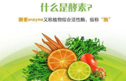 为何冬季要补充酵素？酵素的功效与作用