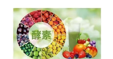 为何冬季要补充酵素？酵素的功效与作用