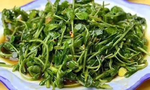 马齿笕可以当菜吃吗,马齿苋怎么煮汤图5
