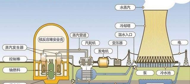 切尔诺贝利巨鼠究竟是谣传还是确实存在的图2