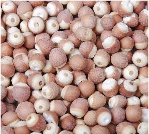 红小豆杂交种(红小豆好种吗)图2